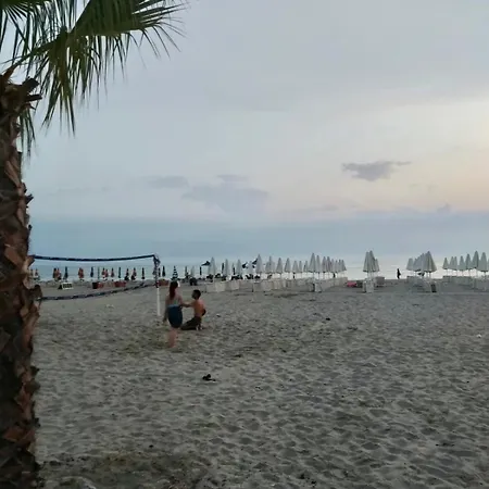 With Enchanting Garden *