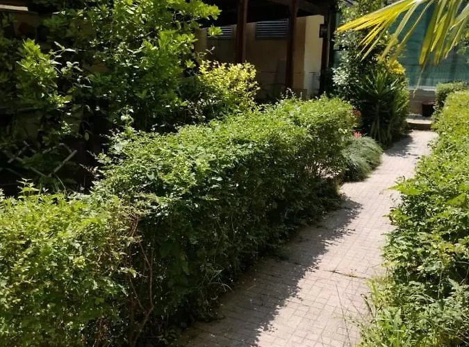 With Enchanting Garden