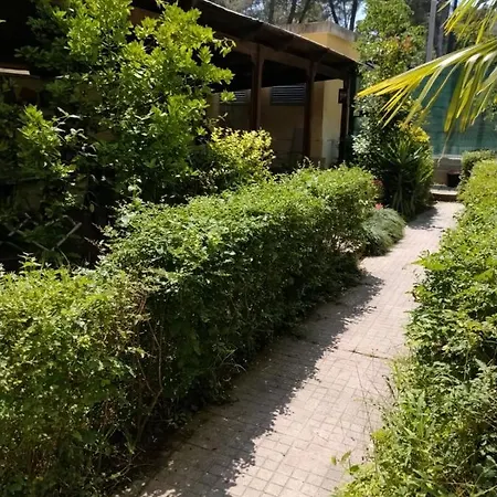 Golem With Enchanting Garden